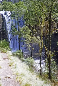 Trentham Falls, Coliban River, Victoria, Australia, 1956, Oceania