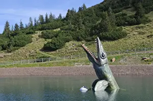 Triassic Park, Steinplatte mountain