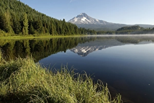 Category Mountain Landscapes Prints: Trillium Lake and the Mount Hood Volcano