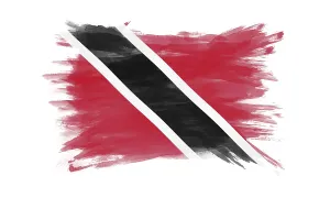 Trinidad and Tobago flag brush stroke