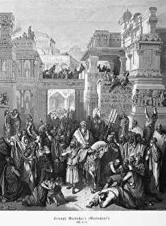 Triumph Mardachais, Esther, chapter 6