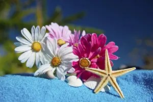 Tropical flowers and star fish for vacation