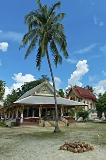 Tropical idyll in the Wat Khiri Mat temple complex