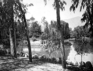 Tropical landscape near Santa Anna