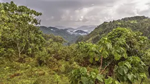 Category Mountain Landscapes Prints: Tropical rainforest, hilly landscape with clouds in the back