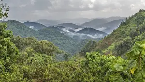 Tropical rainforest, hilly landscape with clouds in the back