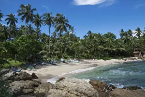 Tropical rocky beach with coconut palm trees