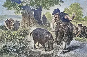 Truffle hunt with a truffle pig in Perigord