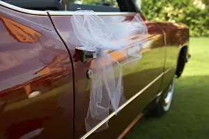 Framed Print : Tulle netting, veil tied to a Cadillac, wedding Framed Print : Tulle netting, veil tied to a Cadillac, wedding