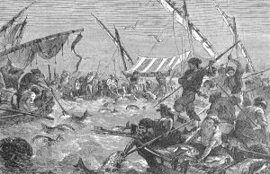 Tuna hunting with harpoons, tuna