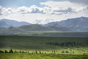 Tundra and glaciated peak of Denali or Mount McKinley