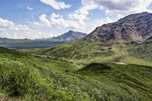 Tundra and mountainous landscape of the Alaska Range