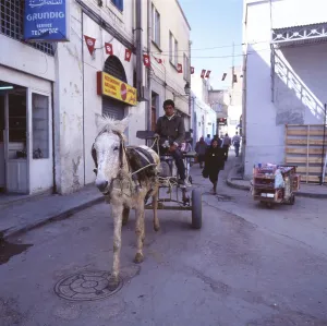 Tunisia with Hammamet by the sea on12