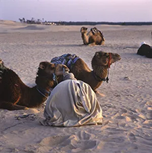 Tunisia with Hammamet by the sea on12