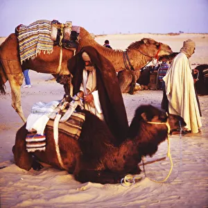 Tunisia with Hammamet by the sea on12
