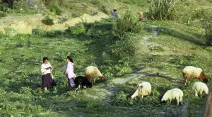 Tunisia. Land and people in and near Monastir on 21