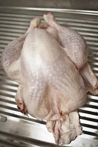 Turkey
