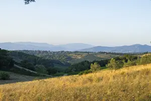 Tuscan landscape, country estate with vineyards
