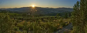 Tuscan landscape at sunrise, country estate with vineyards