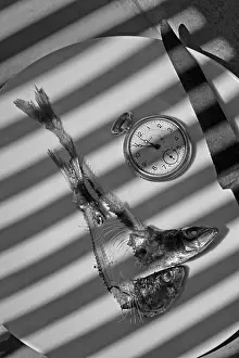 Five to Twelve, Fish Heads with Bones on Plate with Clock