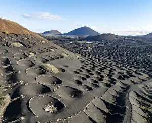 Typical drywall viticulture in volcanic landscape