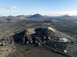 Typical drywall viticulture in volcanic landscape