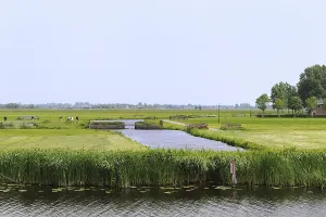 Typical Dutch landscape with pastures cows and water