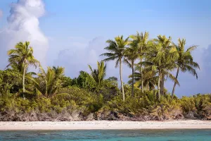 Typical island landscape, island