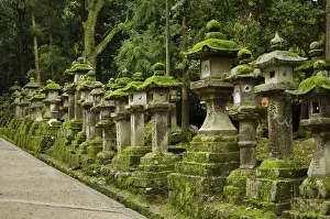 Typical japanese stone lanterns in Nara