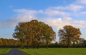 Typical landscape in the Munsterland<br> Typical landscape in the Mnsterland