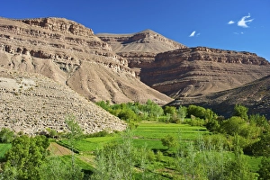 Category Mountain Landscapes Prints: Typical landscape in the valley of the Dades River