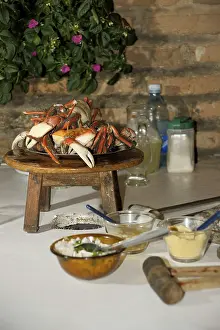 Typical plate, crab, City, Parnaiba