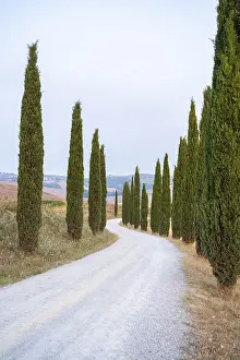 Typical Tuscan landscape in Crete Senesi with hills