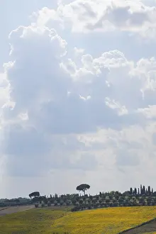 Typical Tuscan landscape in Val d'Orcia with hills