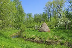Typische Landschaft im Spreewald im Fruhling