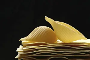 Uncooked lasagna leaves and mussel noodles