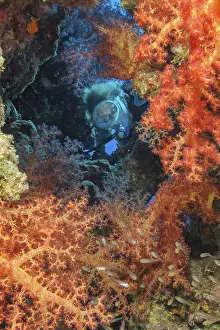 Underwater photo of diver looking through small opening into tropical living colourful coral reef looking at many