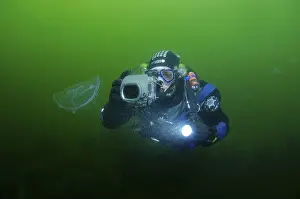 Underwater photographer and Common jellyfish (Aurelia aurita)