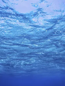 Underwater view of the sea surface