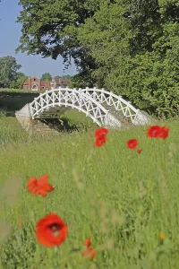 UNESCO Luisium, white arched bridge with poppies and neo-Gothic stud farm