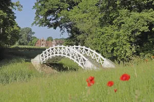 UNESCO Luisium, white arched bridge with poppies and neo-Gothic stud farm