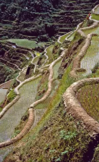 Unesco World Heritage: The Rice terraces of Banaue in Ifugao