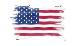United States flag brush stroke