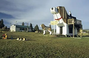 Unusual Bed & Breakfast at Dog Bark Park