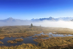 Upland moor in the fog, Tyrol, Austria, Europe