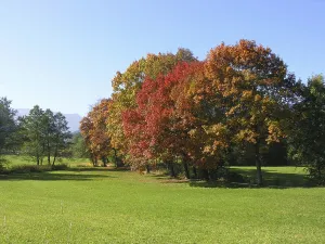 In Upper Bavaria