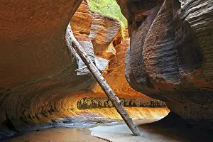 The Upper Subway of Left Fork Creek