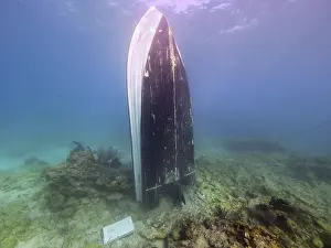 Category Coral Reefs DE Prints: An upright boat underwater, surrounded by sand and coral