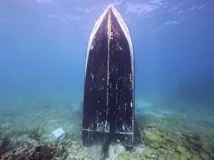Category Coral Reefs DE Prints: Upright wreck of sport fishing boat