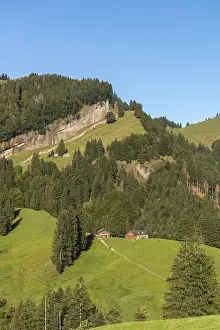 Urnaesch, mountain pasture, forest